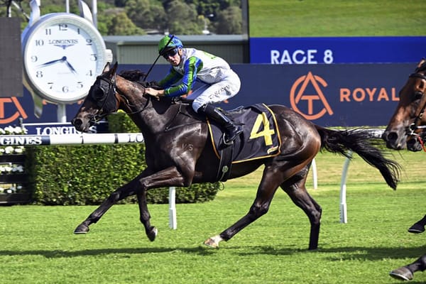 Waihaha Falls completes remarkable Randwick victory