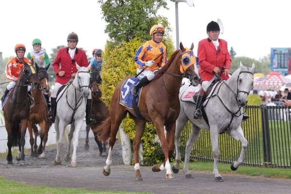 Wild Night on track for million dollar target