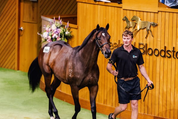 Quickfire Session Kicks Off Book 2 Sale