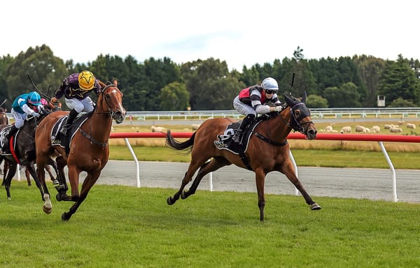 Stakes win a boost for Wilson's draft