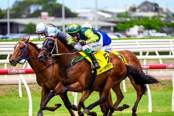 Stud tour sparks successful venture