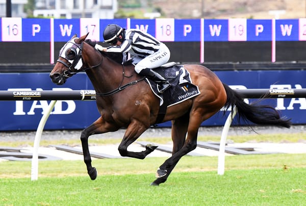 Belclare back in winners circle