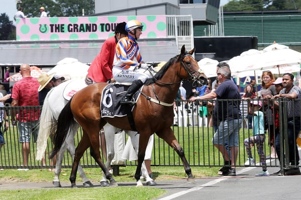 Favourites Draw Side by Side in TAB Karaka Millions 2YO 