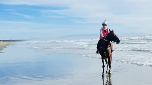 Moore making the most of his chances with evergreen galloper