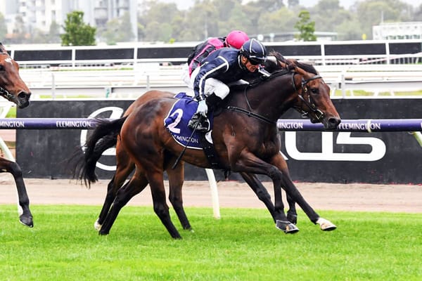 Bold Soul Brilliant in Launceston Guineas