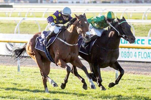 Capo Dell Impero vying for more Cup success