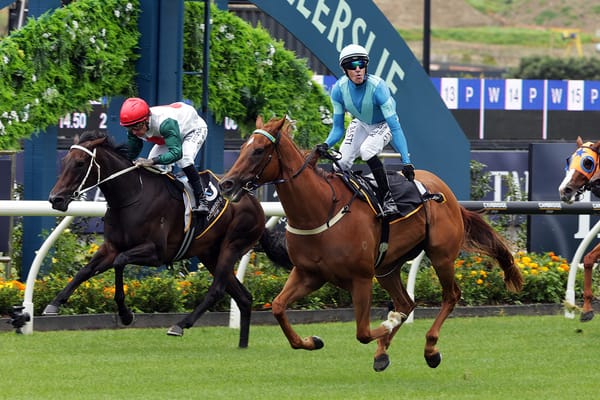 Crocetti all class in Ellerslie opener
