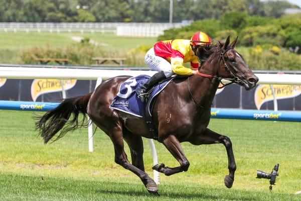 Black type beckons Eternal Flame