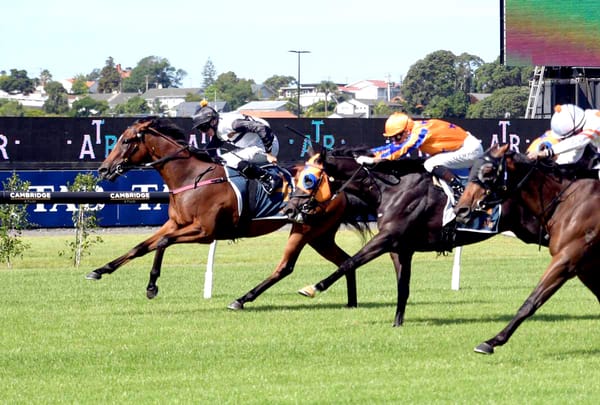Fortune favours Foresman at Ellerslie
