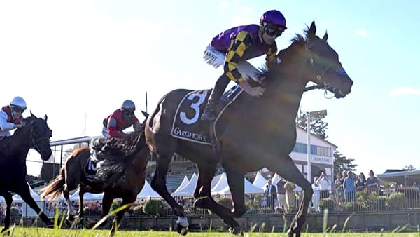 Patient approach paying off with God of Eros