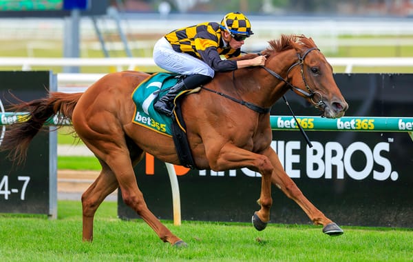 Holymanz puts hand up for Aotearoa Classic