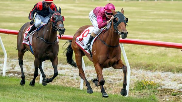 Guineas dream for southern filly