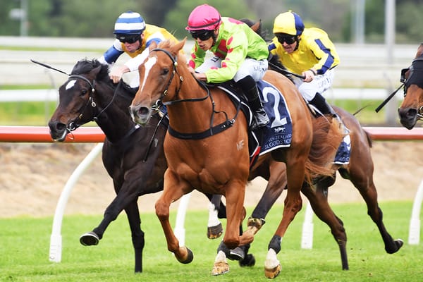 Pike hopeful of a Group One for Impendabelle