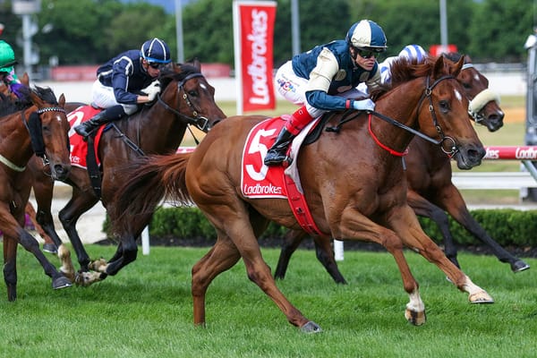 Ozzie's Kiwi stars to follow in '25