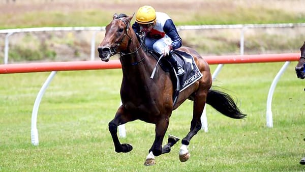 Tauranga win provides pedigree update for Jamieson Park’s Karaka 2024 draft