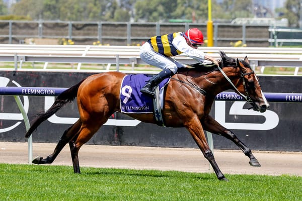 Up-and-comer Krementz strikes at Flemington
