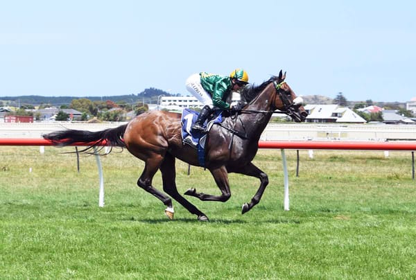 La Bella Grande chasing Karapiro Classic berth