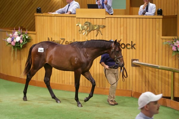 Super sale for Waikato Stud stallion