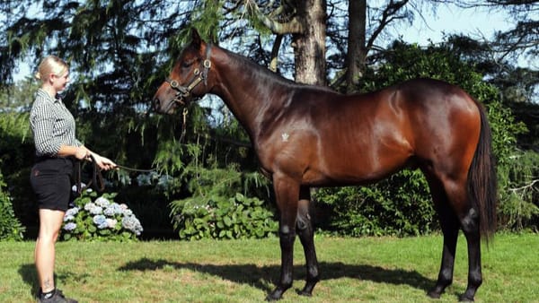 Sales draft signifies an end of an era for Wentwood Grange