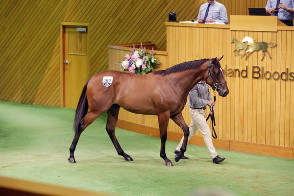 Ellis eyes return to Karaka Millions summit