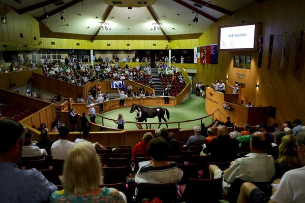 Records shattered on Day One at Karaka 2024