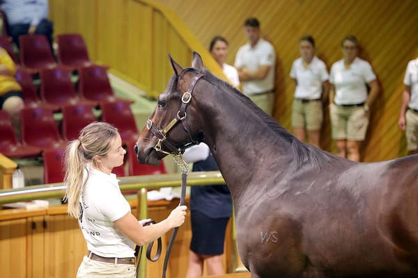 Hong Kong secures another coveted colt