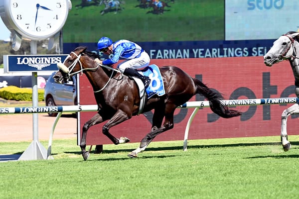 Punters cheer Louisville triumph