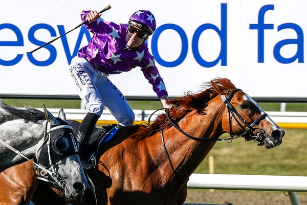 Dream start possible for new alliance at Ellerslie