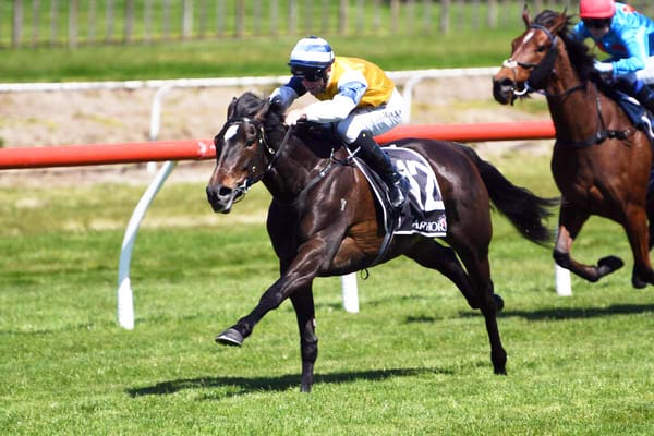 Mary Shan up for Group One challenge