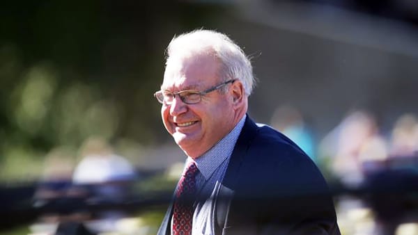 Better ground will suit Pitman Cup contender