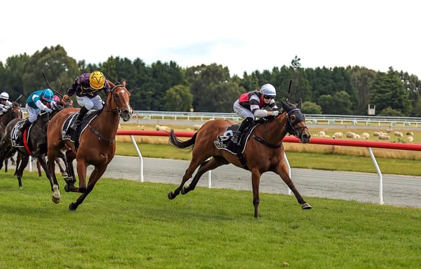 Aberlour tough in Gore Guineas