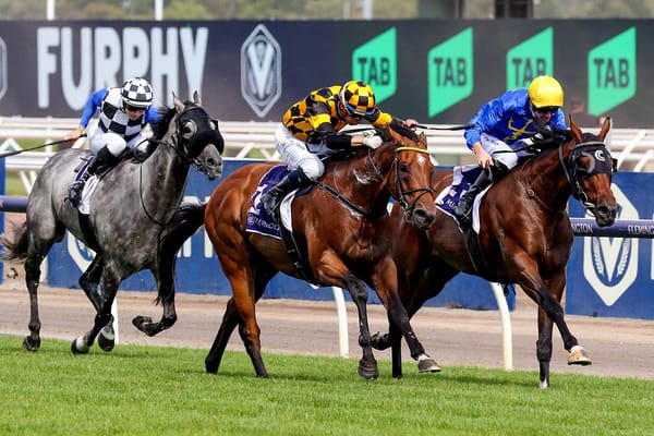 Not An Option caps massive day for Cambridge Stud