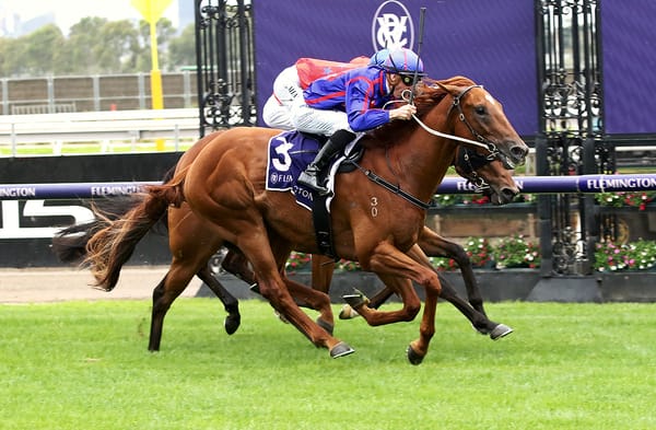 Raw Otago lands Flemington spoils