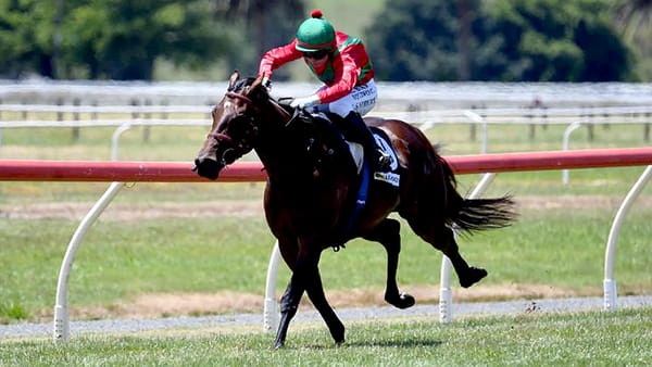 Pocket rocket scores at Te Aroha