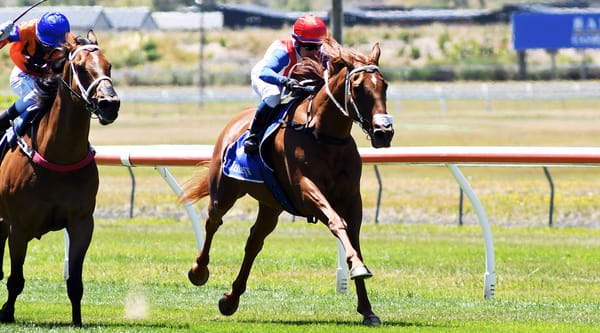 Our Echo looking to continue winning form at Trentham