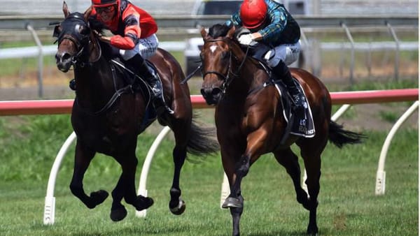 Ballymore to aim higher with Pericles