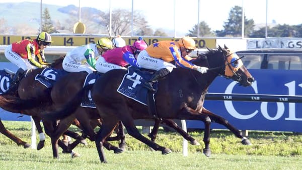 Te Akau back to happy hunting ground