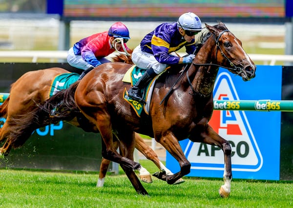 Unbeaten Carbonados makes perfect Australian debut