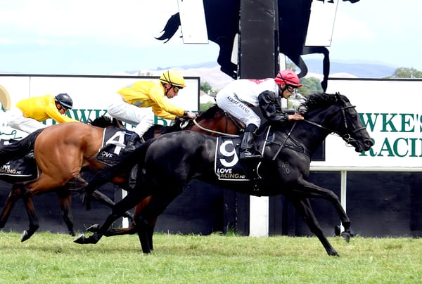 Sudbina to aim for bigger targets following Hastings win