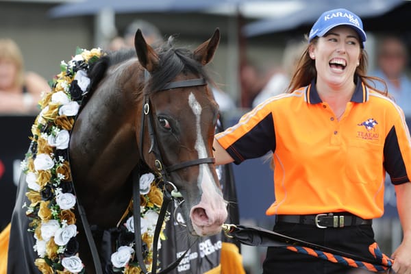 Tokyo Tycoon aiming for back-to-back Karaka Millions