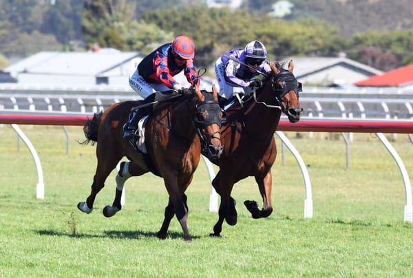 Plan B paying off for Mathews