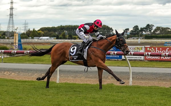 Dual stakes winner heading to Australia
