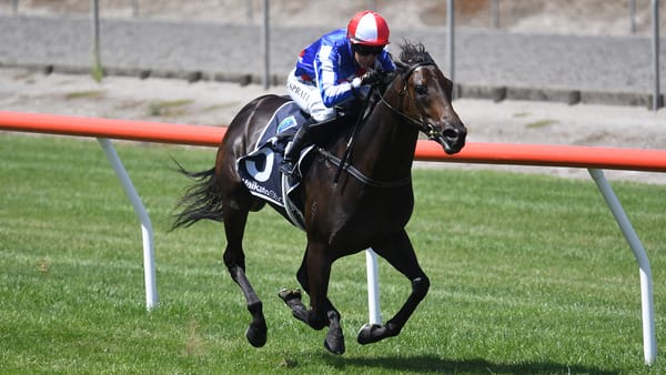 Kelsos unveil another exciting filly