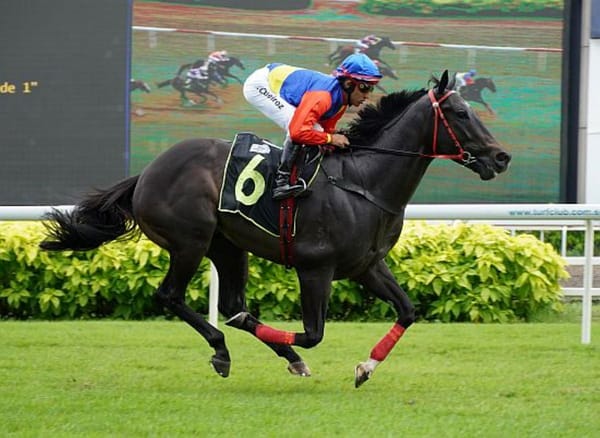Auspicious King wins maiden in Singapore