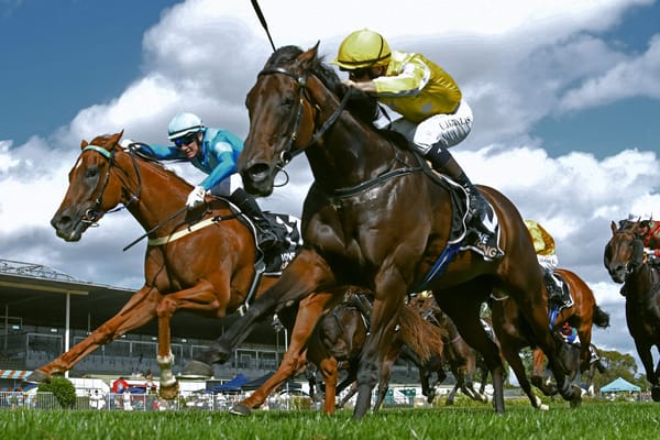 Bonny Lass sticking to domestic targets