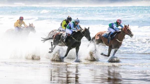 Racing returns to Castlepoint Beach