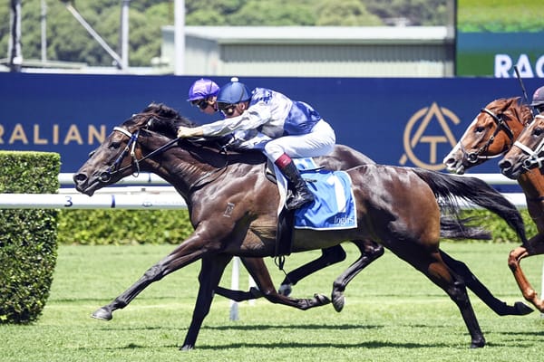 Freedman bags first Sydney win with Ceerseven