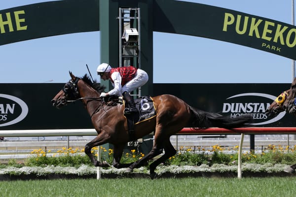 Pukekohe winner has Derby potential
