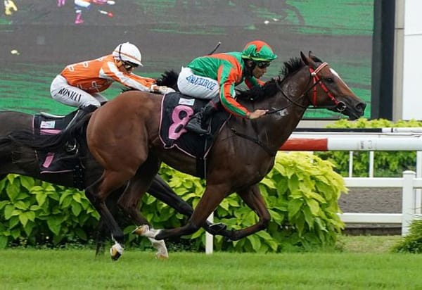 Flying Nemo impresses on turf