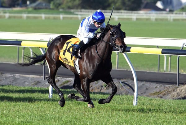 Pike team ready to rock in Lowland